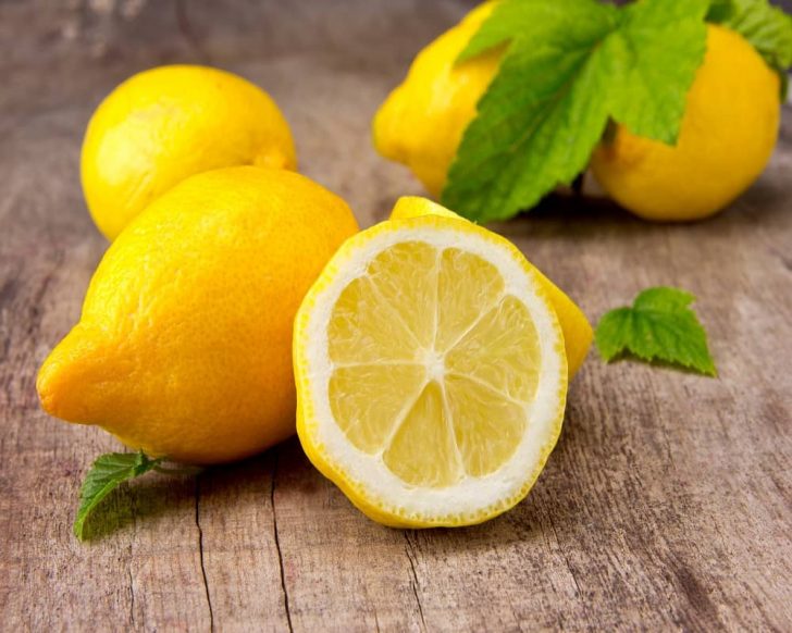 Can Cats Eat Lemon? Here's What You Need To Know Animal Quarters