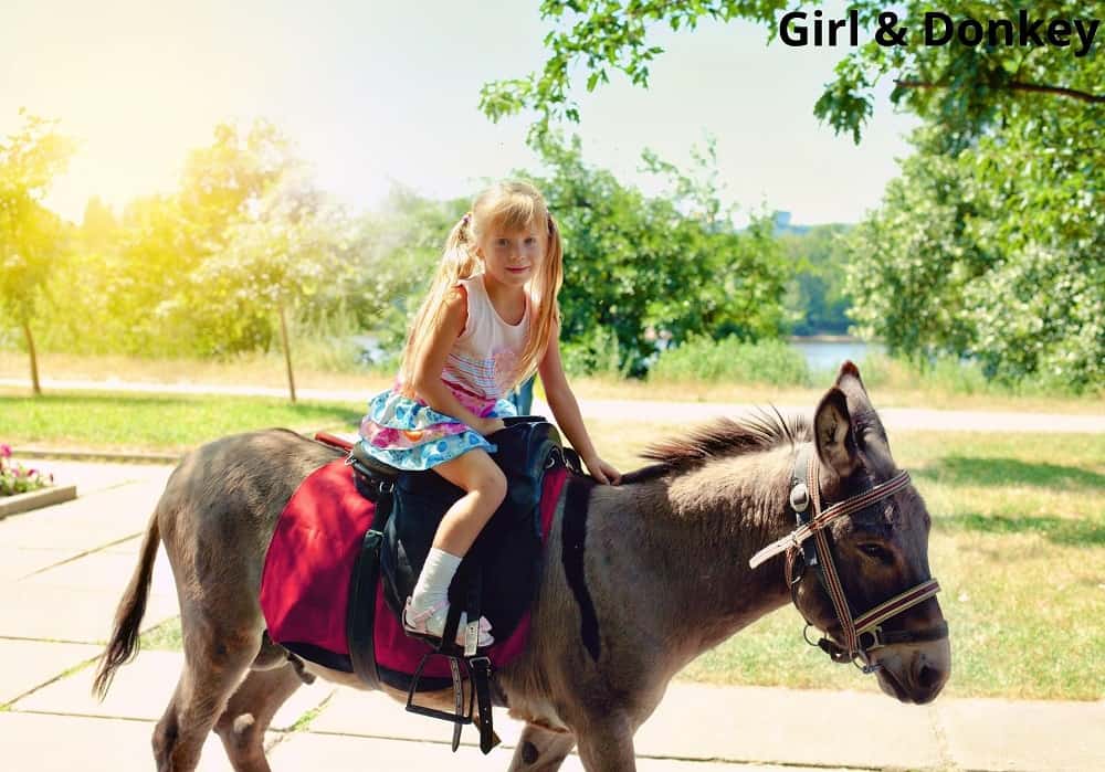 little girl riding on a donkey 15052022